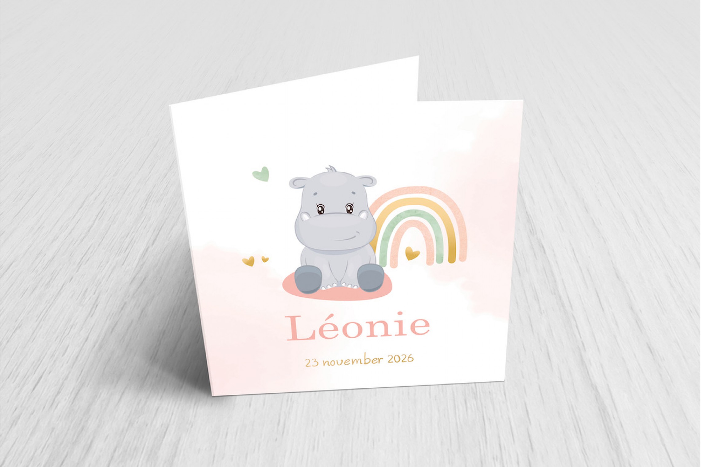 Nijlpaardje en regenboog